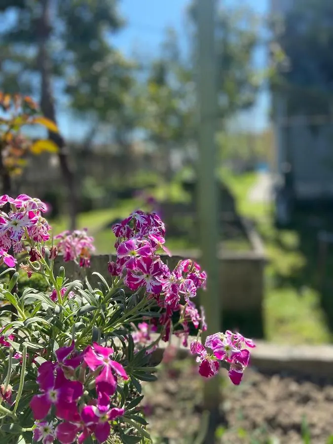 Villa Osmani Durres Country house