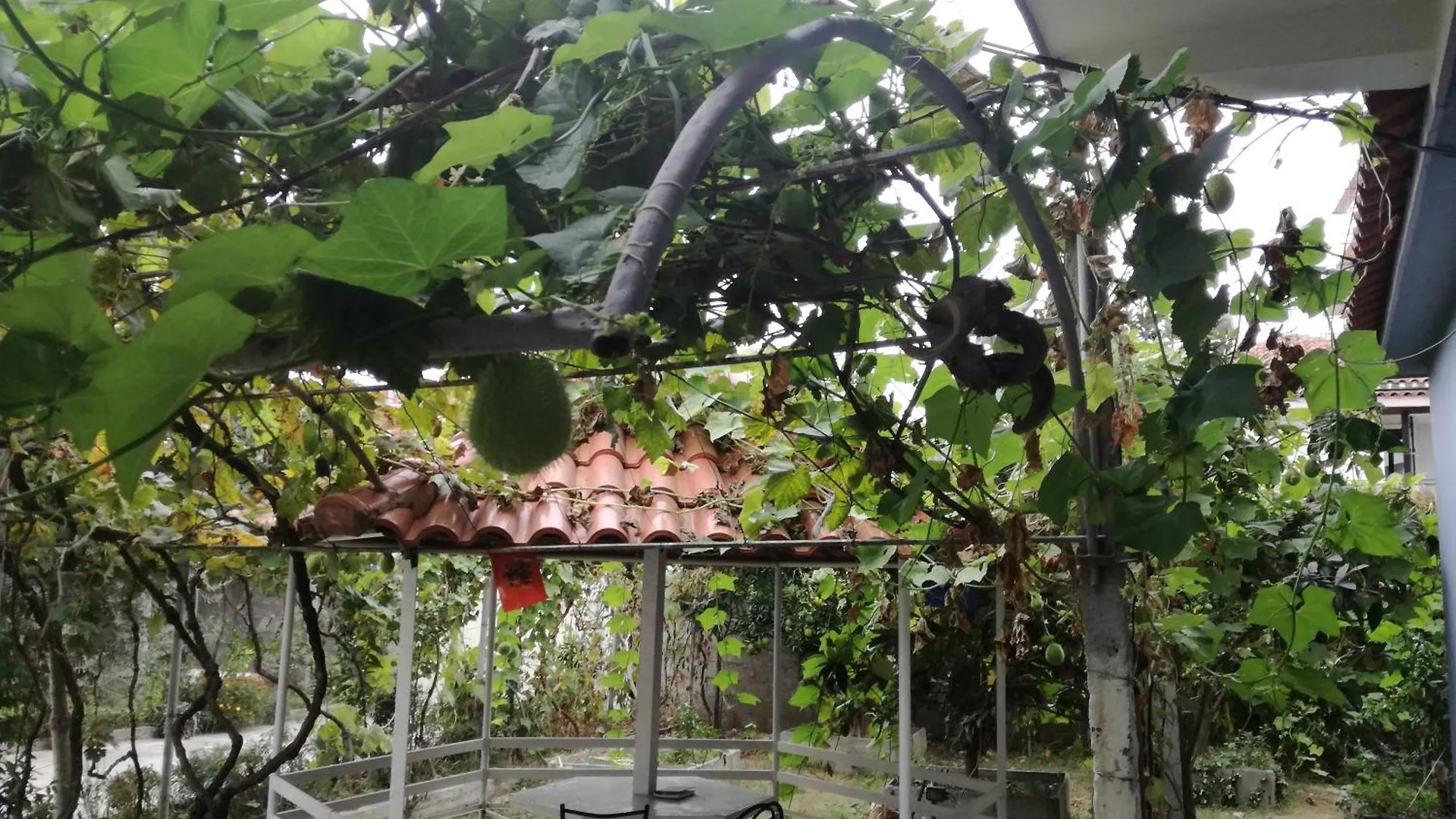 Villa Osmani Durres Albania